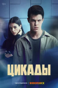 Цикады бесплатно